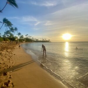 Logo of Virtuoso Family Travel with a family symbol.