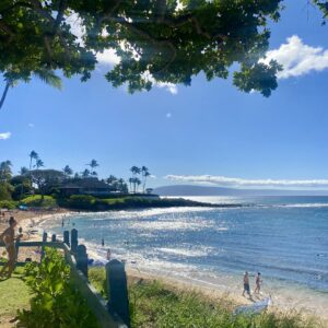 Logo of Virtuoso Family Travel with a family symbol.